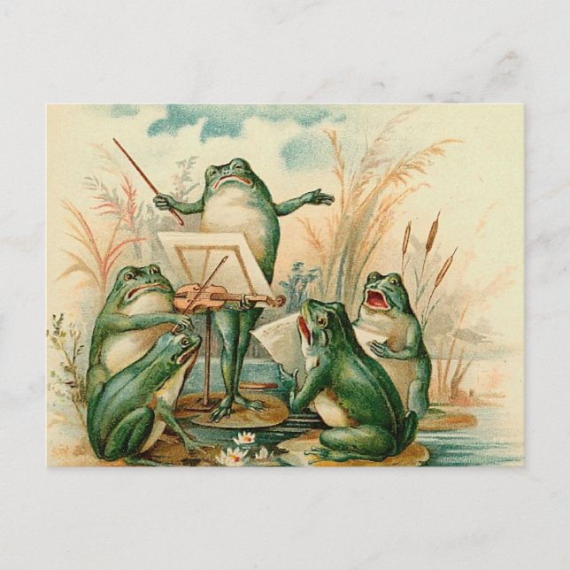 The Frog Band Postcard (Front)