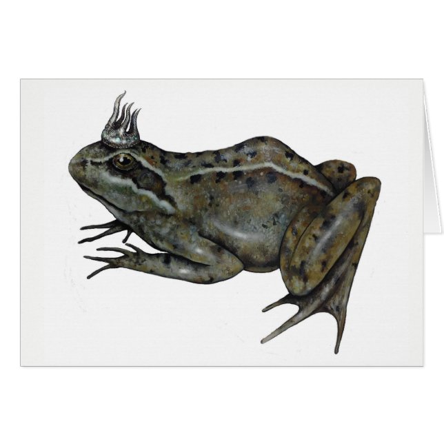 The Frog Prince. (Front Horizontal)