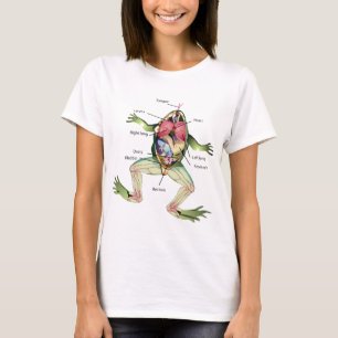 The Frog's Anatomy Graphic Illustration T-Shirt