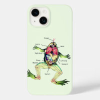 The Frog's Anatomy Green