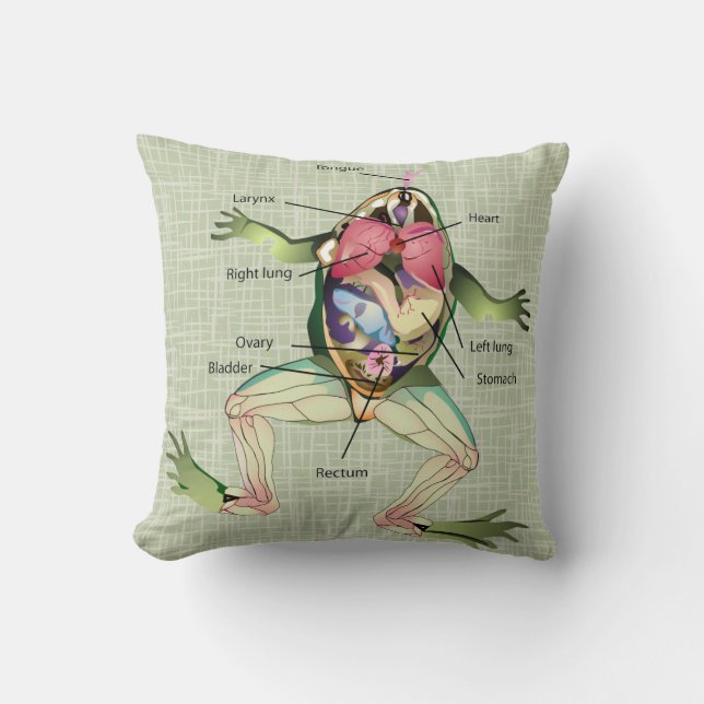 The Frog's Anatomy Illustration Cushion (Front)