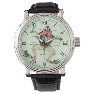 The Frog's Anatomy Illustration Romans Watch