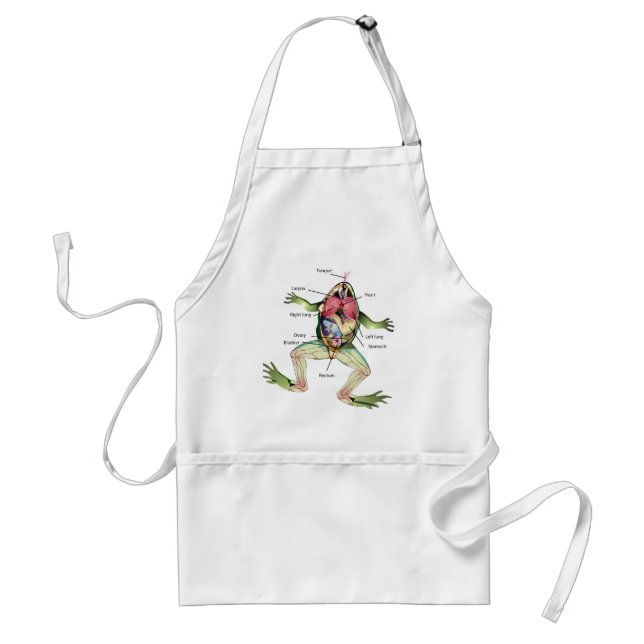 The Frog's Anatomy Illustration Standard Apron (Front)