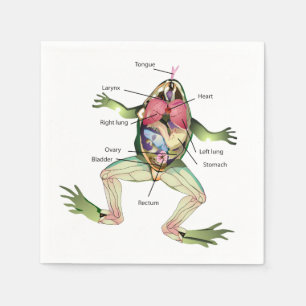 The Frog's Anatomy Napkin