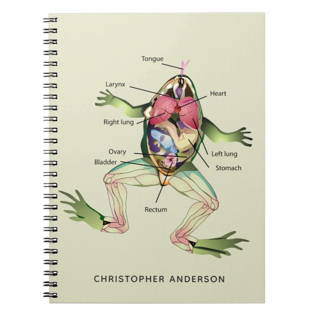 The Frog's Anatomy Personalise Notebook (Front)