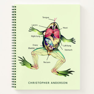 The Frog's Anatomy Personalised Green Notebook