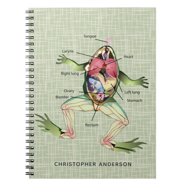 The Frog's Anatomy Personalised Notebook (Front)