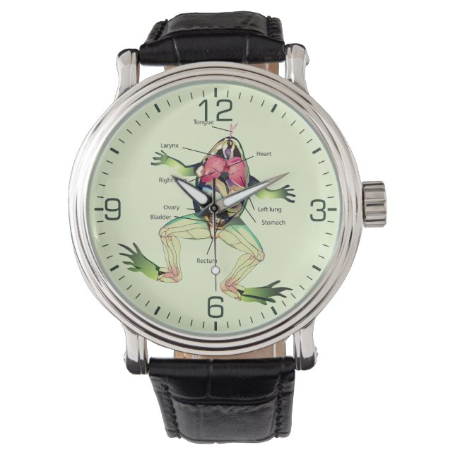The Frog's Anatomy Watch (Front)