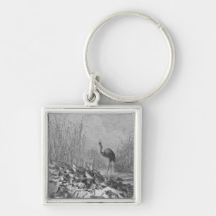 The frogs asking for a king, key ring