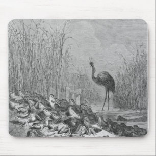 The frogs asking for a king, mouse pad