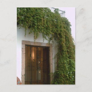 The front of a building in Taxco with a vine Postcard