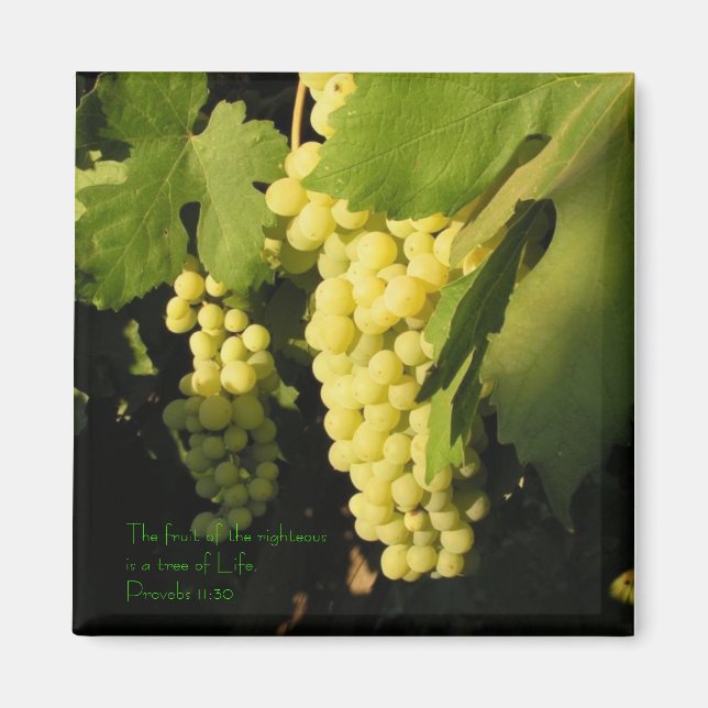 The fruit of the righteous is a tree of... magnet (Front)