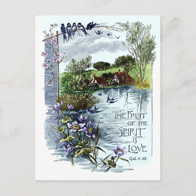 The Fruit Of The Spirit Is Love Postcard (Front)