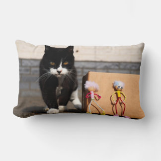 The Fubby's hide from the cat Ping. Lumbar Cushion