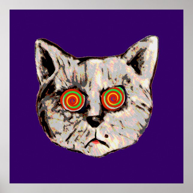 the funny mad cat poster (Front)