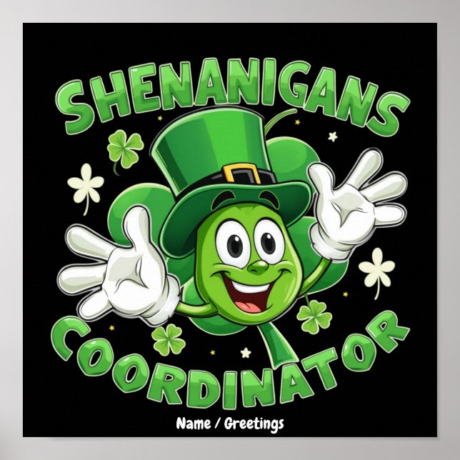  The Funny Shenanigans Coordinator  Poster (Front)