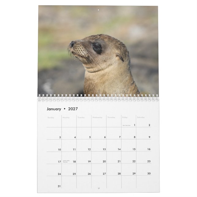 The Galapagos - 12 month wall calendar (Jan 2027)