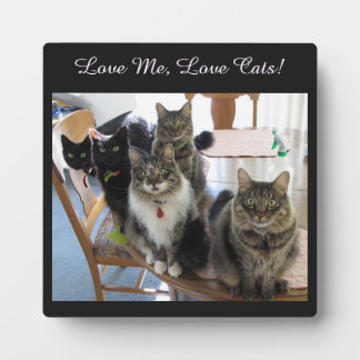 The Gang Love Me Love Cats Photo Plaque