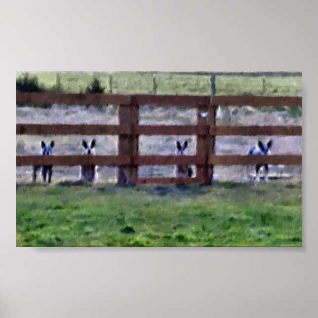 The Gang Poster (Front)