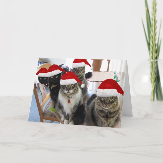 The Gang Presents Christmas Cards (Front)