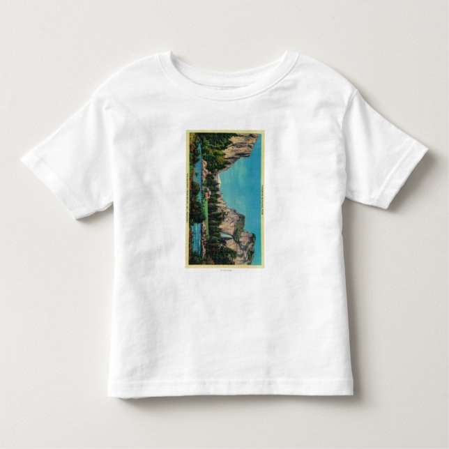 The Gateway from Bridal Veil Meadows Toddler T-Shirt (Front)