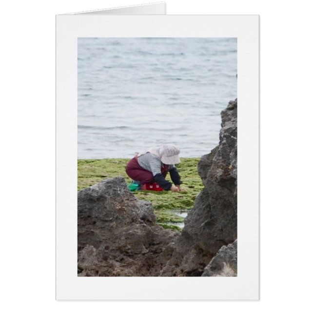 The Gatherer (Front)