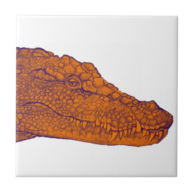 THE GATORS GLANCE CERAMIC TILE (Front)