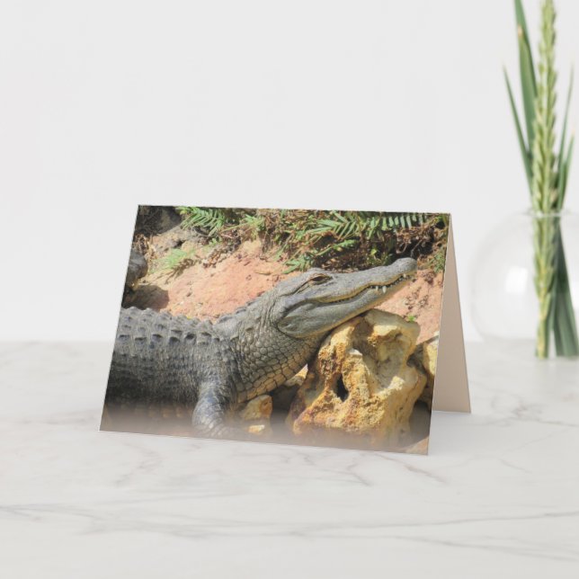 The Gator's Pillow - Alligator Folded Card (Front)