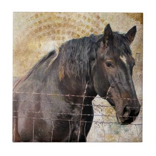 The Gentle One, A draught horse Tile