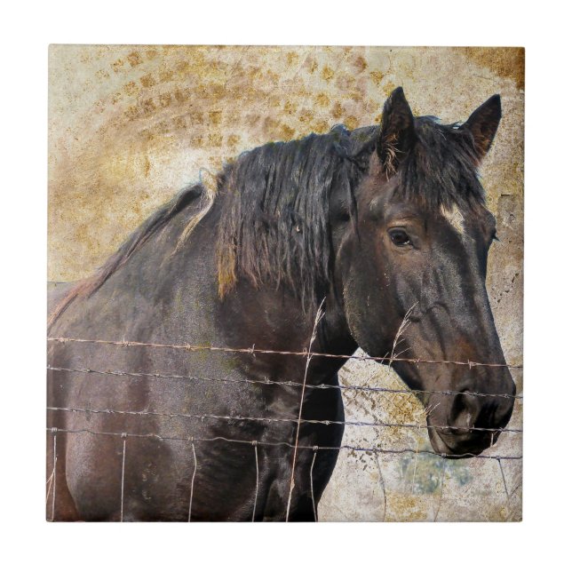 The Gentle One, A draught horse Tile (Front)