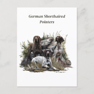 The German Shorthaired Pointer or Deutsch Kurzhaar Invitation Postcard