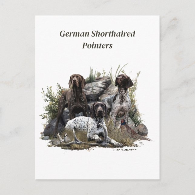 The German Shorthaired Pointer or Deutsch Kurzhaar Postcard (Front)