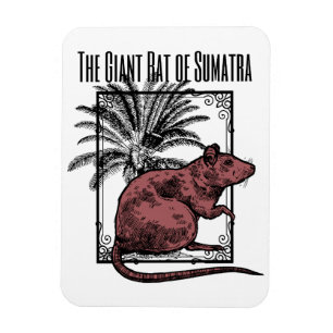 The Giant Rat of Sumatra Holmesian Sherlock Holmes Magnet