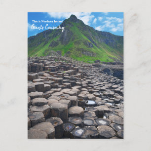 The Giant's Causeway -Northern Ireland Postcard