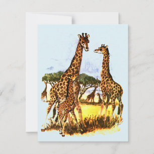 The Giraffe Family - Holiday Card