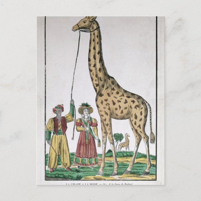 The Giraffe Presented to King from Pasha of Postcard (Front)