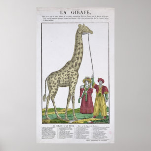 The Giraffe Presented to the King Poster
