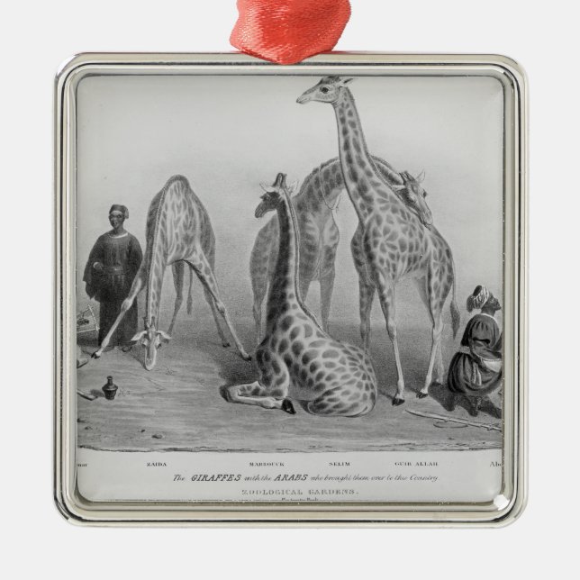 The Giraffes with the Arabs Metal Ornament (Front)