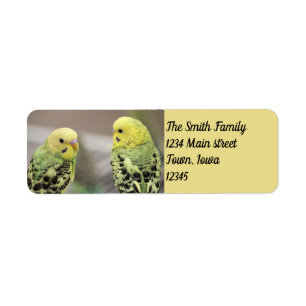 The girls return address label