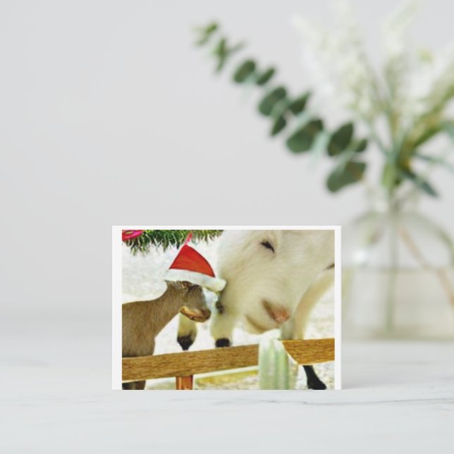 The goats of Christmas past Card (Standing Front)