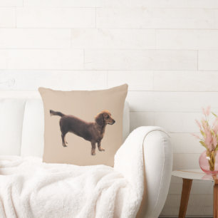 The Golden Dachshund Cushion