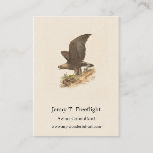 The Golden Eagle (Aquila chrysaetos) NY Bird Image Business Card