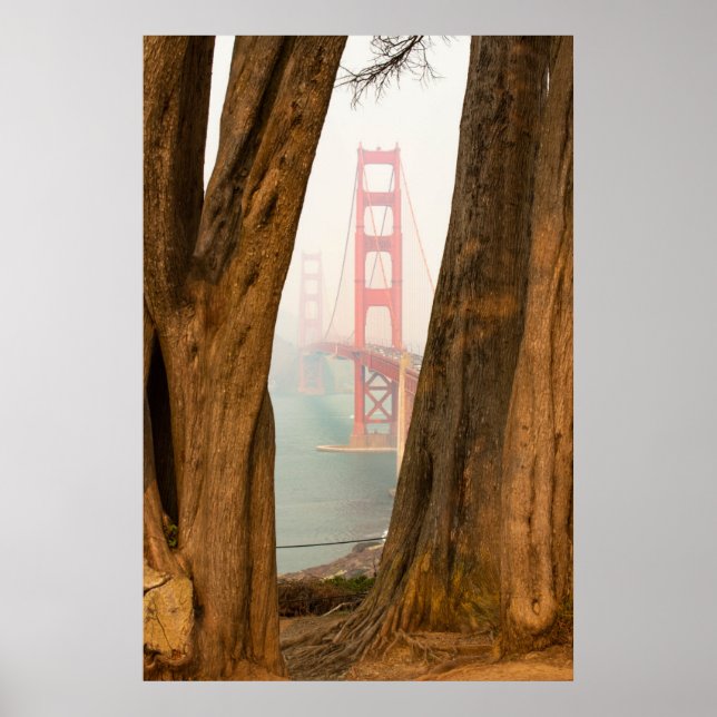 The Golden Gate Bridge | Trees from Overlook View Poster (Front)