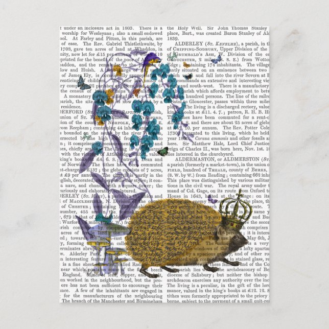 The Golden Hedgehog Postcard (Front)