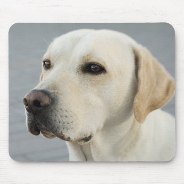 The Golden Labrador Mouse Pad (Front)