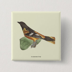 The Golden or Baltimore Oriole (Icterus galbula) 15 Cm Square Badge