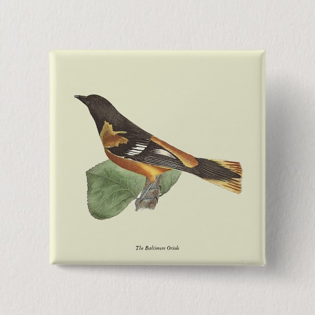 The Golden or Baltimore Oriole (Icterus galbula) 15 Cm Square Badge (Front)