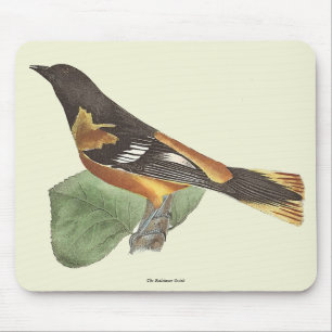 The Golden or Baltimore Oriole (Icterus galbula) Mouse Pad