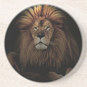 The Golden Proud Lion Africa Coaster