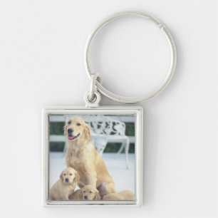 The Golden Retriever is a relatively modern and Key Ring